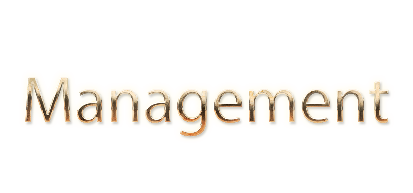 WORD MANAGEMENT gold text typography PNG images free